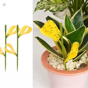 노랑 초파리 끈끈이 (10세트) 초파리끈끈이 노란끈끈이트랩 화분끈끈이