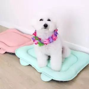 [반려] 반려견 쿠션 에어매쉬 실내 강아지 방석 매트 S