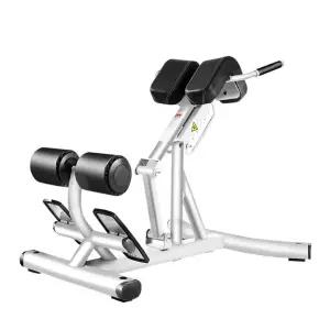 로망체어 가정용 뱃살 옆구리 홈트 허리 접이식 근력 실버프레임