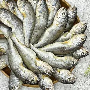 반건조참조기 냉동 반건조조기 냉동생선 생선 국내산굴비 굴비