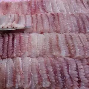 홍어 흑산도 1kg 회 안삭힌 생