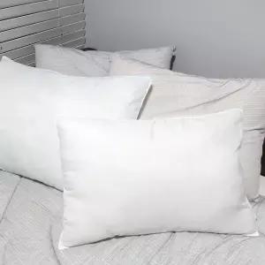 휴비스 프리미엄 베개솜 지퍼형 2개 배게 침구 베게 베개 베개속 속통 충전재 지퍼