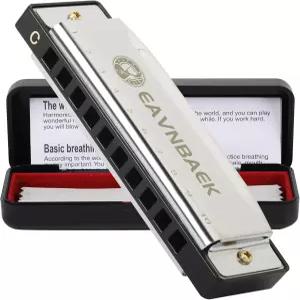 10홀 20톤 블루스 하프 마우스 오르간 하모니카 디아토닉 키 오브 C 초보자를 위한 하드 케이스와 청소용