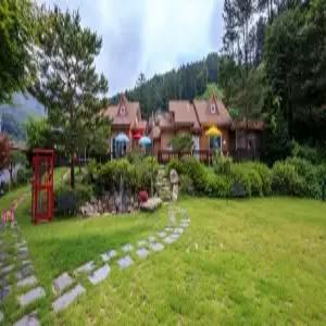 [강원] 홍천밸리애견동반(강원펜션/홍천펜션)