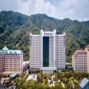 [강원] 소노벨 비발디파크 B.C(강원호텔/홍천호텔/홍천소노벨 비발디파크 B.C)