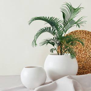 달항아리 원형 도자기 화분 화이트 토분화분 무광 매트 흰색