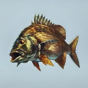 홀로그램 무늬오징어 참돔 방수 낚시 스티커 자동차 태클박스 아이스박스 꾸미기