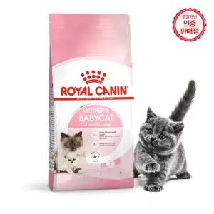 로얄캐닌 고양이사료 마더앤베이비캣 4kg+샘플2개