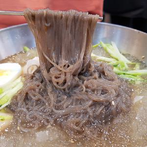 옥천 평양 냉면10인분+동치미육수10봉+겨자소스10