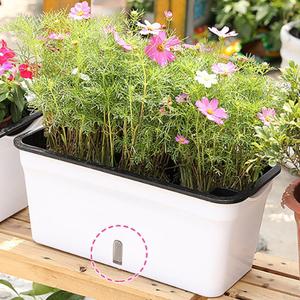 자동급수 채소화분 옆으로 가로 긴 화분 베란다상추키우기