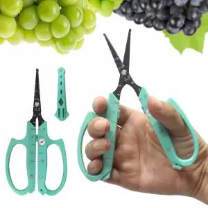 D-11 국산 신성 포도가위 직날 SB-324 포도알솎기 가위 열매솎기 꽃 적과