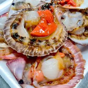 당일조업 제철 비단가리비하프셀 3팩 18미