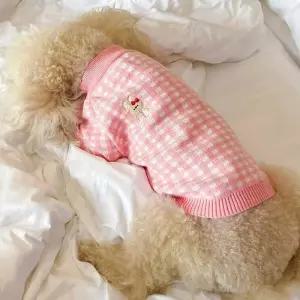 ONM 애견 부드러운 자수 포인트 산책 유치원 등원룩 니트