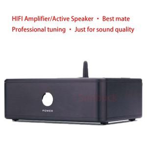 AIYIMA SMSL 광섬유 동축 HD 무손실 HIFI 증폭기 오디오 브라켓 APTX SBC AAC 5.0 블루투스 CSR8675