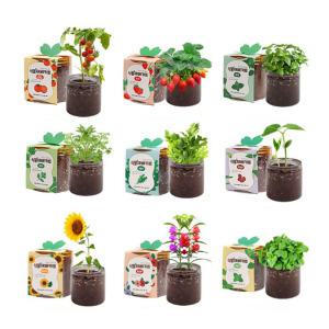 링크체 미니 식물재배기 봄 새싹식물키트 딸기 강낭콩 고수 당근 파슬리 키우기
