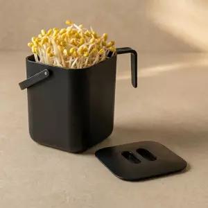 콩나물 재배기 콩나물콩 키우기 키트 시루 수경 식물 새싹 기르기 새싹보리 숙주 야채 재배 집에서 기르기