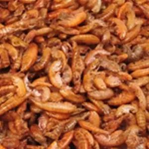 (30g) 거북이밥 건조새우 거북이사료 사료먹이 거북이