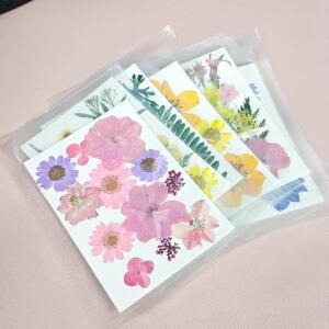 압화 드라이플라워 컬러믹스 압화꽃 생화 잎 누름꽃