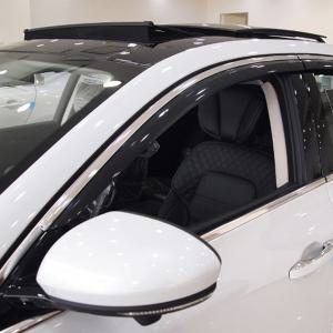 SM6 블랙다이아몬드 썬바이저 6P 윈도우바이져 빗물받이