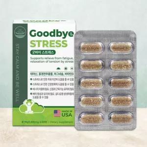 수입 청소년 테아닌 마그네슘 비타민D 영양제 눈떨림 공시생