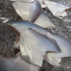 남해안 자연산 횟감용 손질 병어 300g 2-6미 원물 1kg 급냉