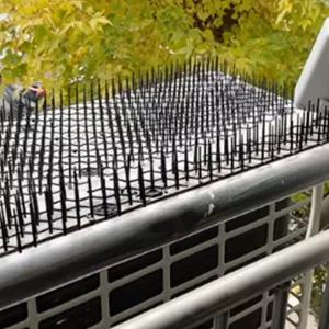 비둘기 방조가시트랩 검정색 조류쫓기퇴치망 뾰족한