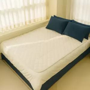 프리미엄 탄소 카본 워셔블 전기요 매트 전기장판 IW-KM59 싱글 더블