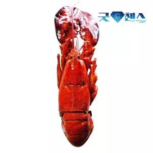 캐나다 자숙 랍스터 400-450g 2마리 자숙랍스타 냉동 바닷가재