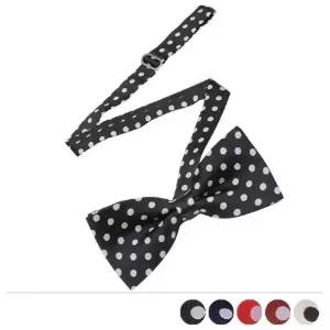 [콩심팥심]BTIE19021 중도트 보타이