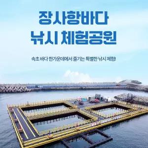 [실시간/당일사용][강원] 장사항바다낚시체험공원 이용권(바다/낚시/이색체험)