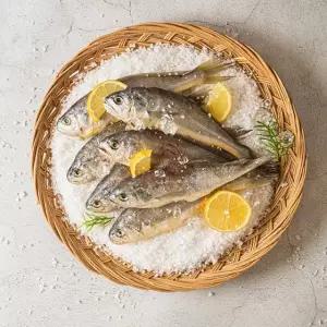 새담 법성포 영광굴비 800g(20미)