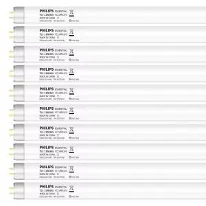 필립스 T5 형광등 900mm TL5 21W 865 주광색(푸른흰빛), 10개입