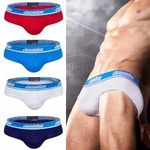 오지범 남자 삼각팬티 언더웨어 속옷 AU06 (12836223)