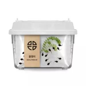 개구리 한살이 관찰 키트 토종 올챙이 키우기 세트 자연학습용