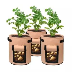 화분 베란다 부직포 텃밭 감자 당근 키우기 그로우백 구황작물 블루베리화분 그로우백 베란다텃밭 부직포화분