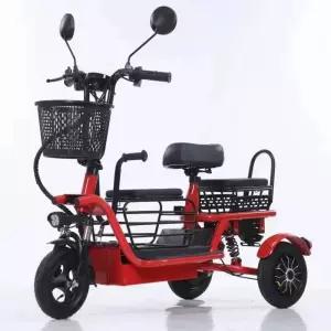 세발 전기자전거 애견 자전거 동반 고하중 태우는