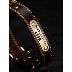 대형견목걸이 액세서리 산책 애완견용 5 9kg 고양이 Large 이름표 명판이