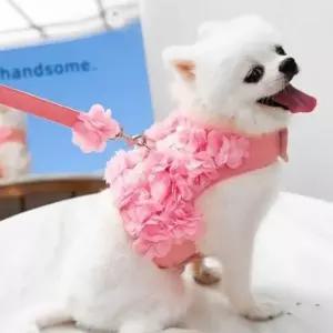 [콩심팥심]강아지 봄 플라워 가슴줄 하네스 산책 조끼 리드줄 세트