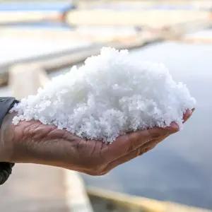 국산 명품 신안 천일염 신안소금 소금 용융 간수 빠 왕소금 20kg