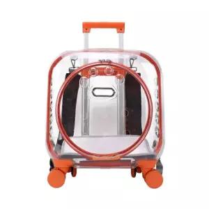 고양이 외출가방 투명 캐리어 강아지 백팩 통기성 휴대용 애견 우주선 슬링백 여름