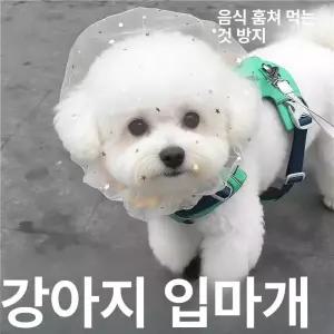 52QUAD 강아지페이스커버 강아지 강아지얼굴망 페이스커버 멍마스크 강아지산책망 케이프 해