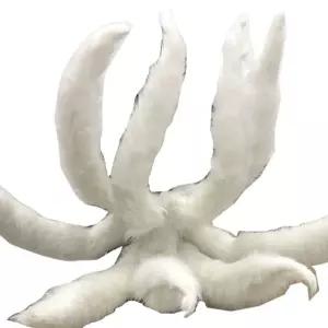 여우 코스튬 의상 할로윈 소품 여우꼬리 유카타 코스프레 촬영 분장 구미호꼬리 파티의상