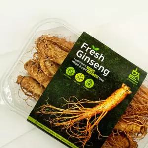 금산수삼 고려인삼 수삼 5년근 뿌리삼 고려삼 생인삼 난발삼 원삼 동삼 삼계탕수삼 세척수삼 9뿌리