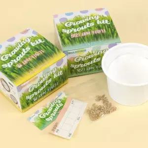 보리 밀 새싹 키우기 재료 세트 취미생활 관찰 1박스 12개