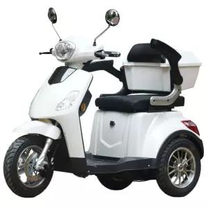 어르신전동차 전동스쿠터 시골 마실용 전기 전동 삼발이 사륜 바이크 농업용