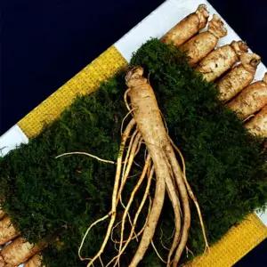 수삼6년근 원수삼 고려삼 인삼 설날 명절 선물세트