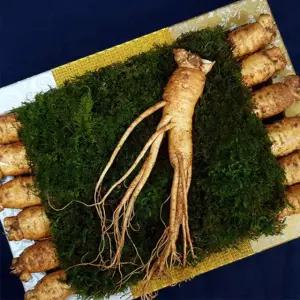 명품 수삼 생인삼 원수삼 6년근 수삼 인삼 삼계탕수삼