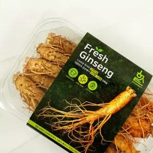 고려삼 생인삼 수삼5년근 고려인삼 수삼인삼 금산수삼