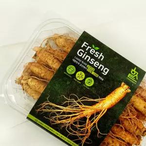 5년근 수삼 고려삼 생인삼 뿌리삼 난발삼 고려인삼 수삼인삼 동삼 삼계탕수삼 원삼 금산수삼 18뿌리