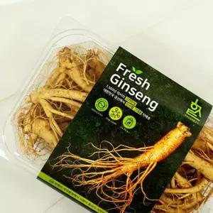 삼계탕수삼 고려인삼 5년근 수삼 뿌리삼 생인삼 원삼